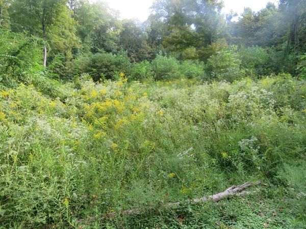 0 Watauga Road, Cookeville, TN 38506