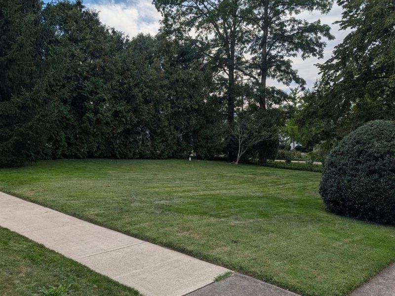 793 Park Avenue, Amherst, OH 44001 Photo 2