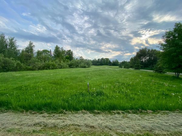 TBD Dogwood Drive , Warroad, MN 56763