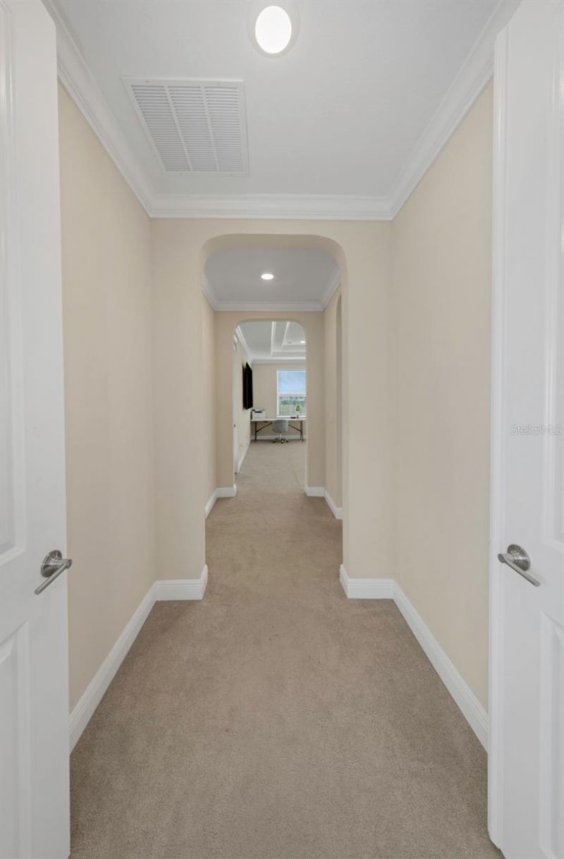 2904 Cordoba Ranch Boulevard, Lutz, FL 33559 Photo