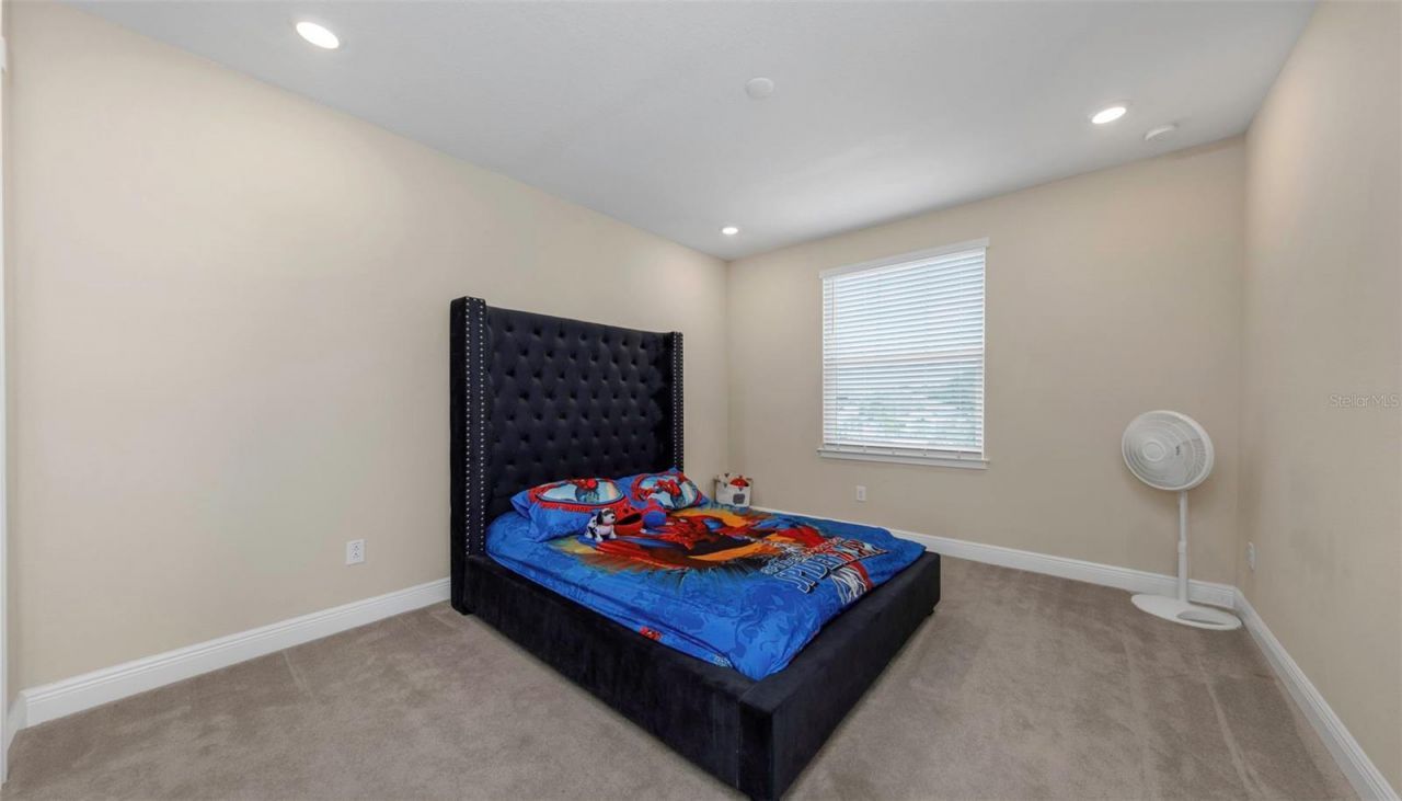2904 Cordoba Ranch Boulevard, Lutz, FL 33559 Photo