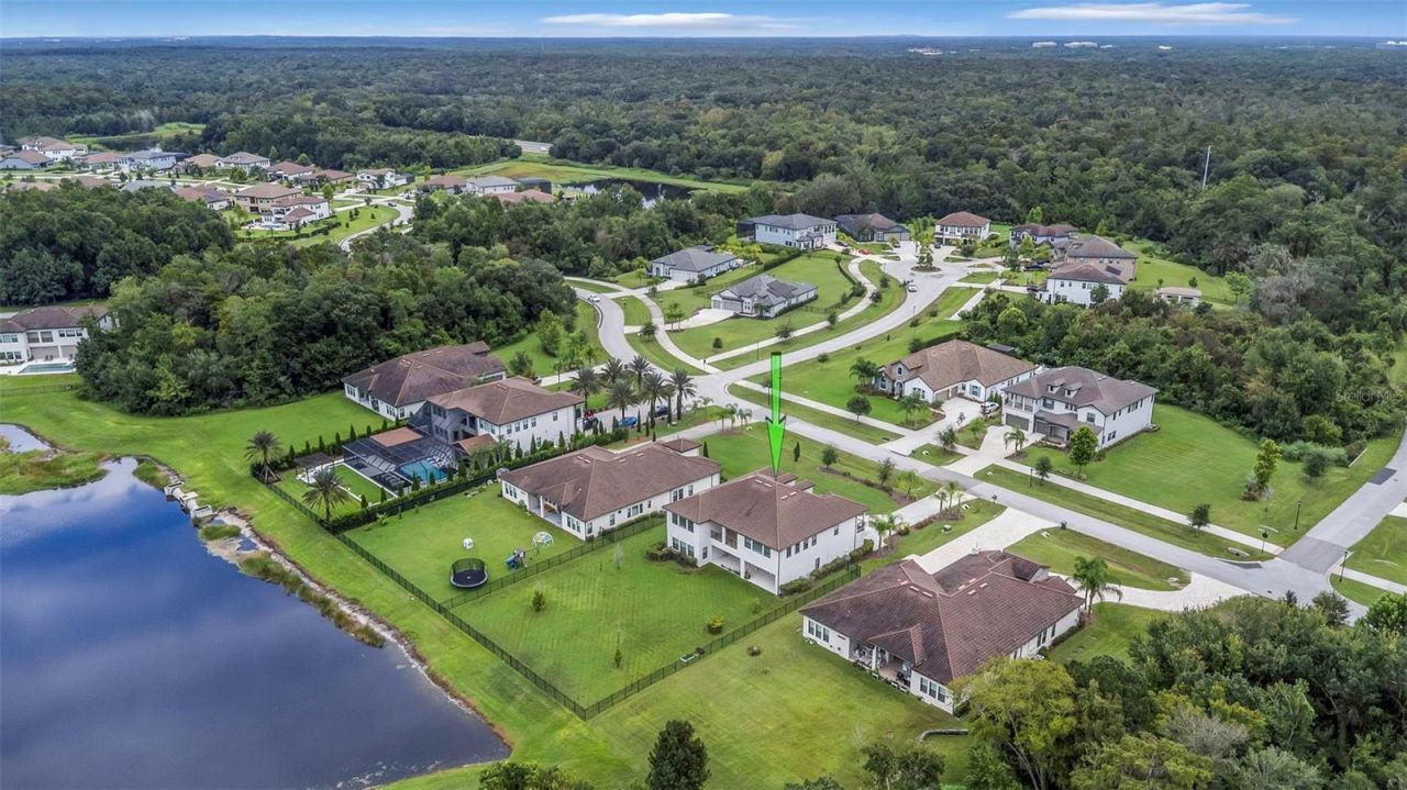 2904 Cordoba Ranch Boulevard, Lutz, FL 33559 Photo