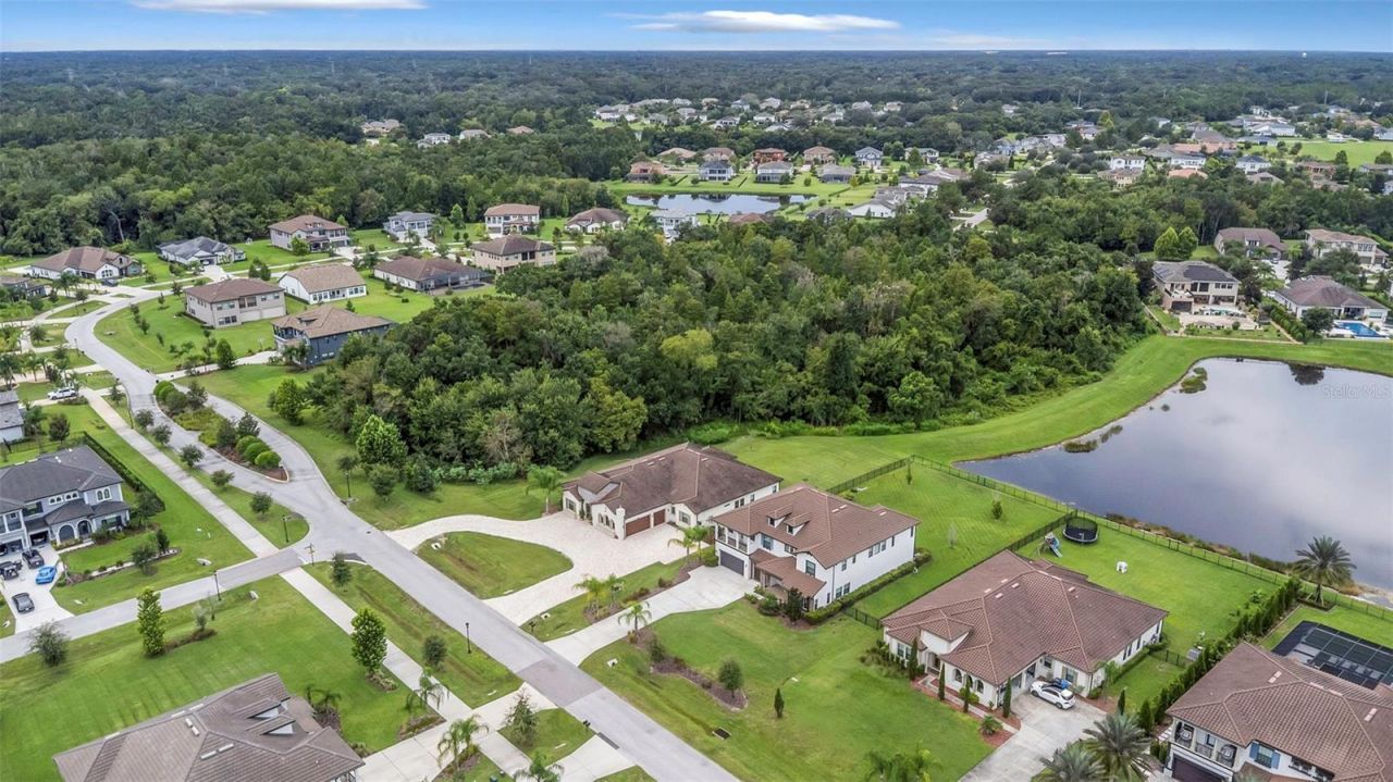 2904 Cordoba Ranch Boulevard, Lutz, FL 33559 Photo