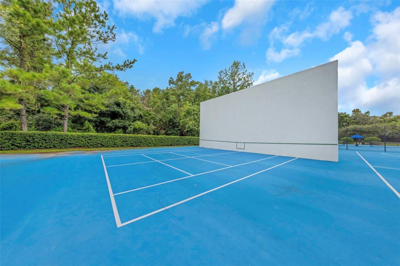 2904 Cordoba Ranch Boulevard, Lutz, FL 33559 Photo