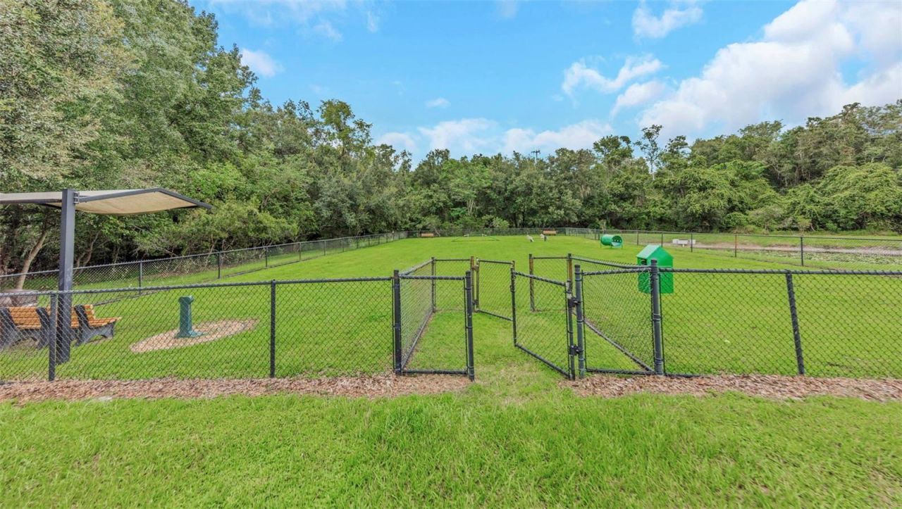 2904 Cordoba Ranch Boulevard, Lutz, FL 33559 Photo