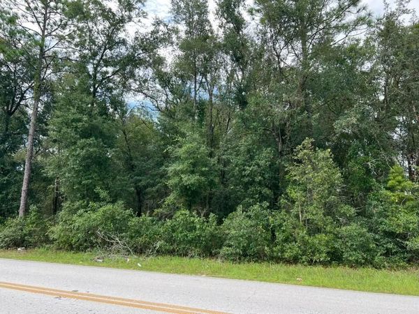 0 SE 132ND PL OCKLAWAHA , OCKLAWAHA, FL 32179