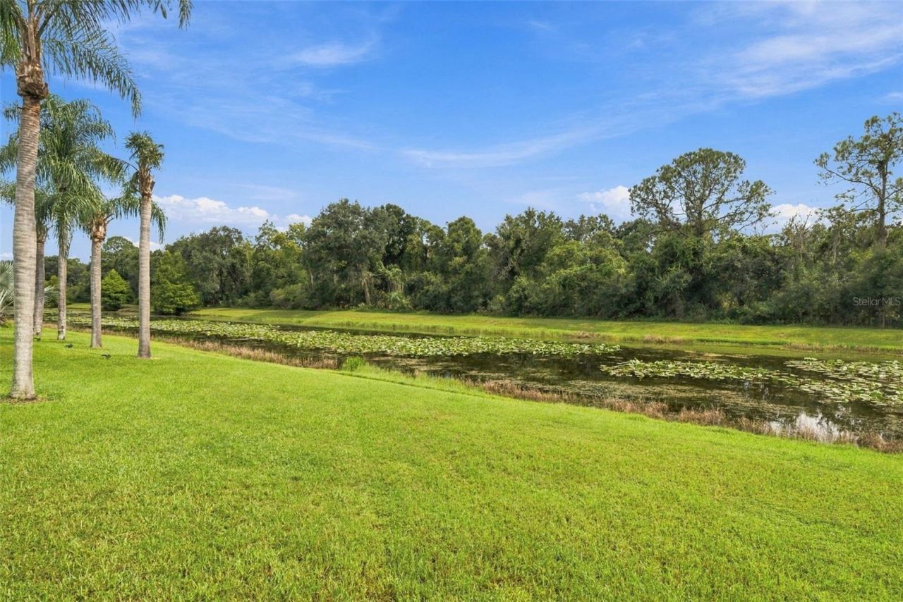 12427 Bristol Commons Circle , Tampa, FL 33626 Photo