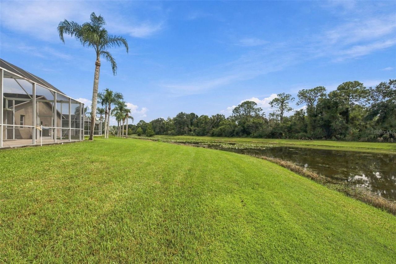 12427 Bristol Commons Circle , Tampa, FL 33626 Photo