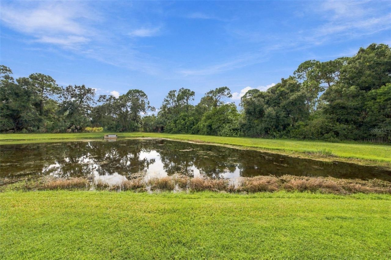 12427 Bristol Commons Circle , Tampa, FL 33626 Photo