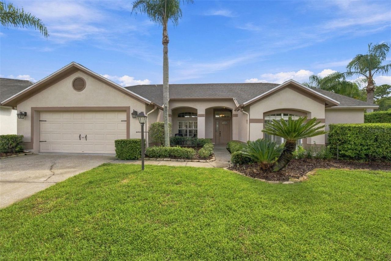 12427 Bristol Commons Circle , Tampa, FL 33626 Photo