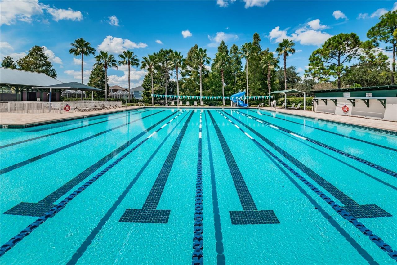 12427 Bristol Commons Circle , Tampa, FL 33626 Photo