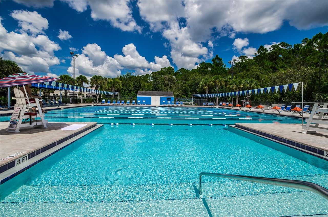 12427 Bristol Commons Circle , Tampa, FL 33626 Photo