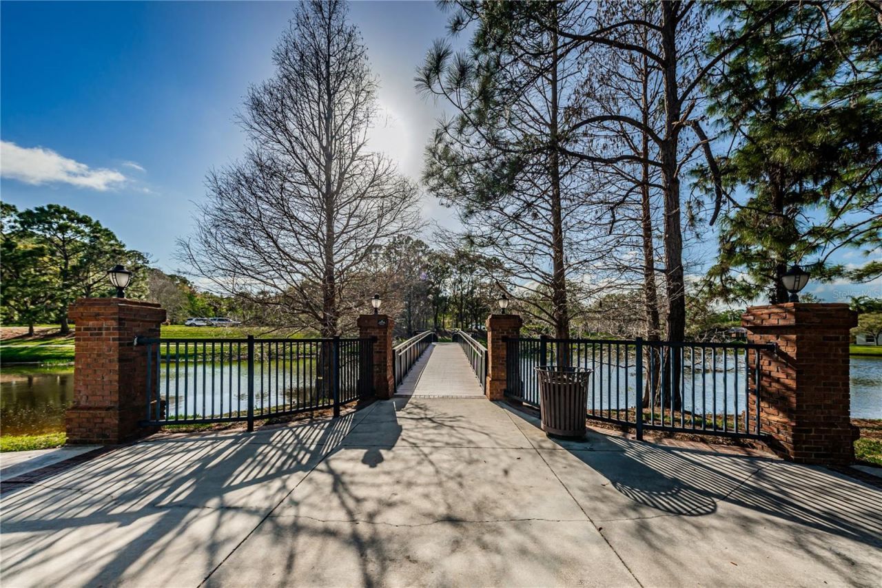 12427 Bristol Commons Circle , Tampa, FL 33626 Photo