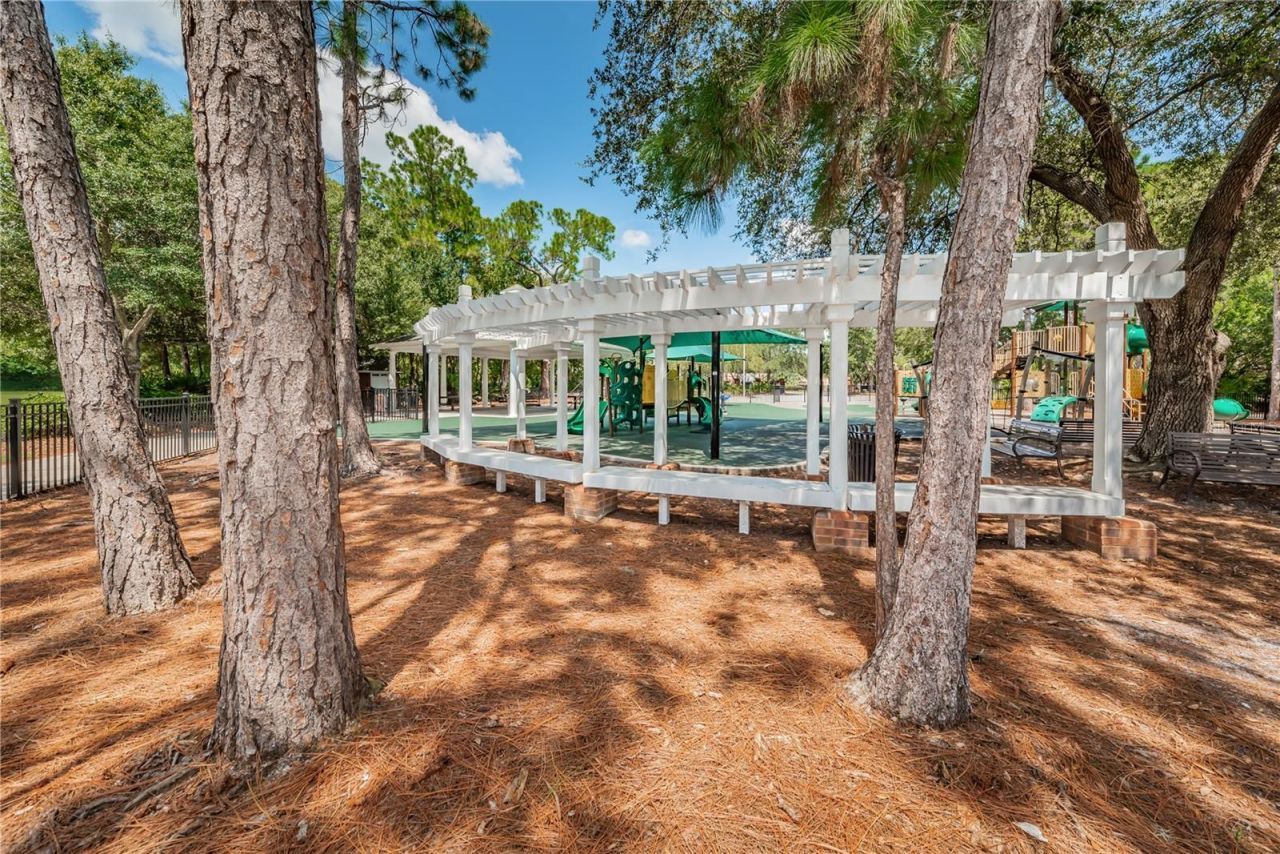 12427 Bristol Commons Circle , Tampa, FL 33626 Photo