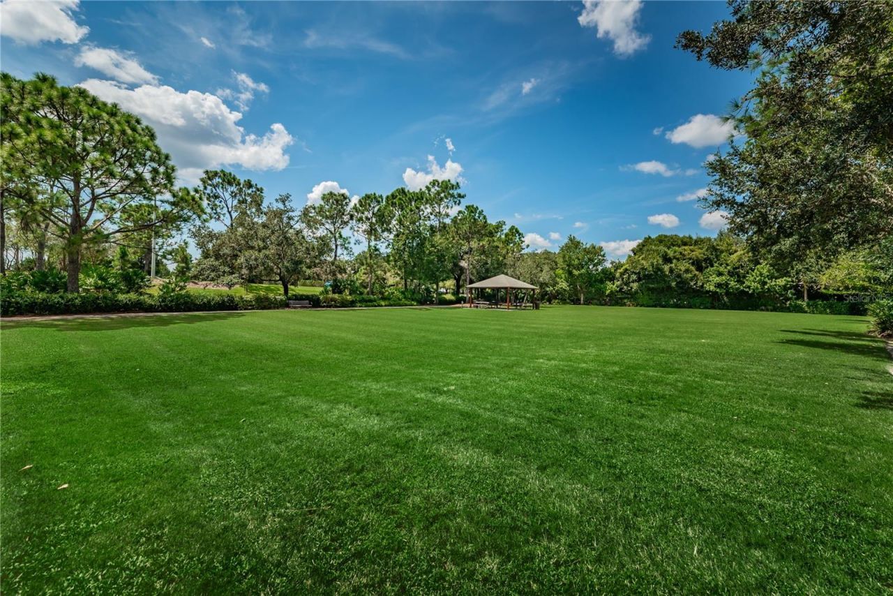 12427 Bristol Commons Circle , Tampa, FL 33626 Photo