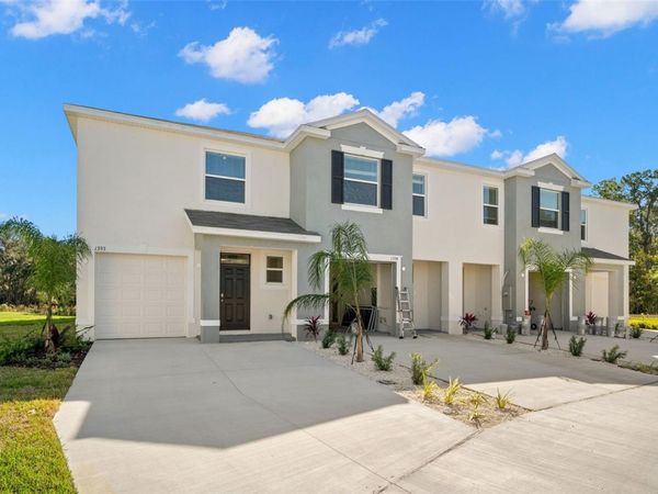 1393 COLT CREEK PLACE , WESLEY CHAPEL, FL 33543