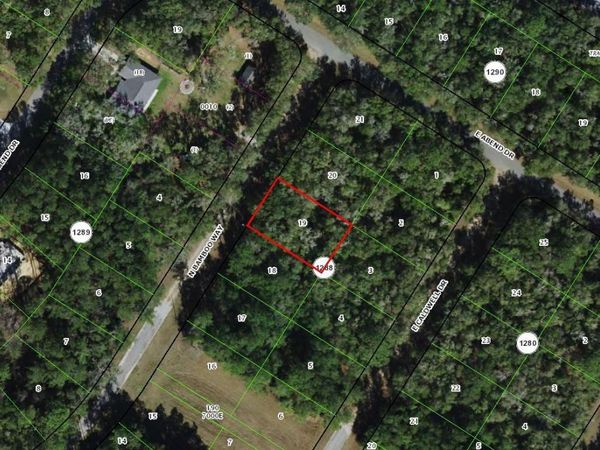10063 N BAMBOO WAY, CITRUS SPRINGS, FL 34434