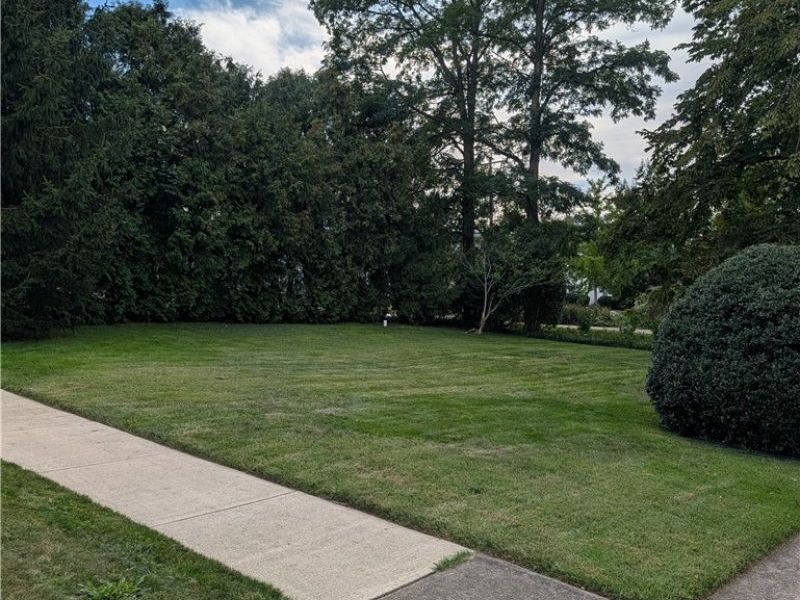 793 Park Avenue, Amherst, OH 44001 Photo 2