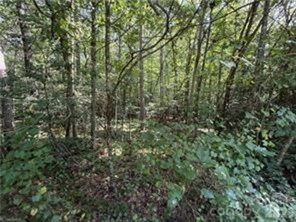 Lot 20 & 21 Zinzendorf Lane, Moravian Falls, NC 28654