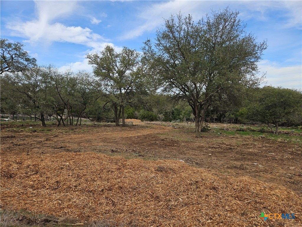206 Falling Hills , New Braunfels, TX 78132 Main Photo