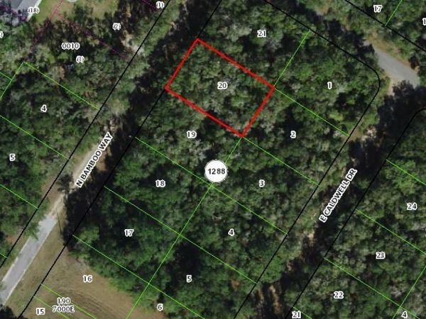 10075 N BAMBOO WAY , CITRUS SPRINGS, FL 34434