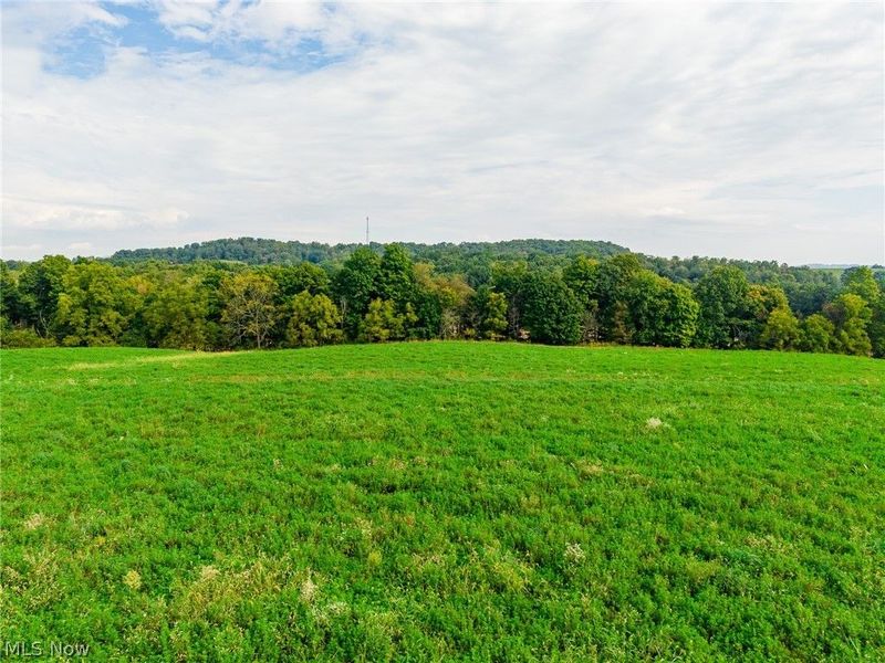 Foxfield Street SW, Navarre, OH 44662 Photo 10
