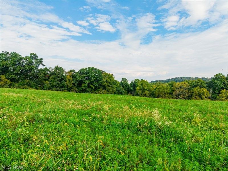 Foxfield Street SW, Navarre, OH 44662 Photo 11