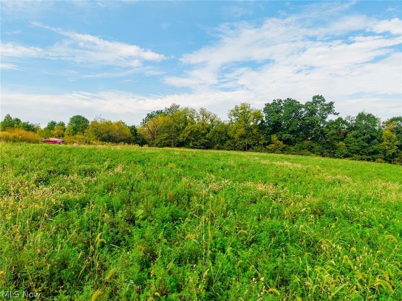 Foxfield Street SW, Navarre, OH 44662 Photo 13