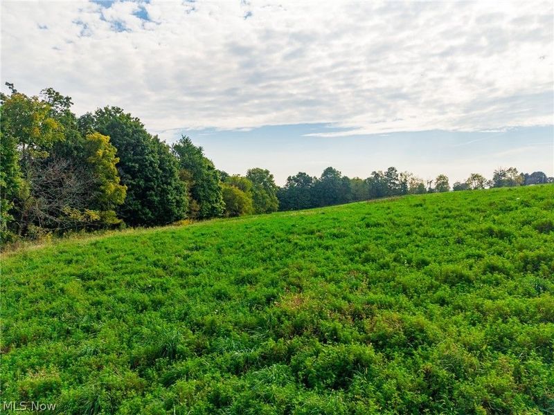 Foxfield Street SW, Navarre, OH 44662 Photo 14