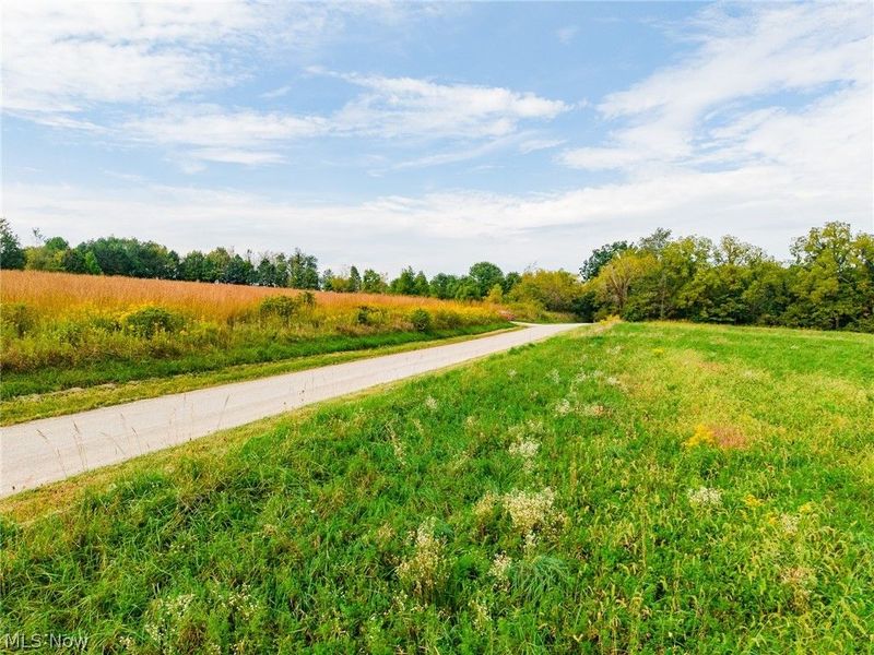 Foxfield Street SW, Navarre, OH 44662 Photo 15
