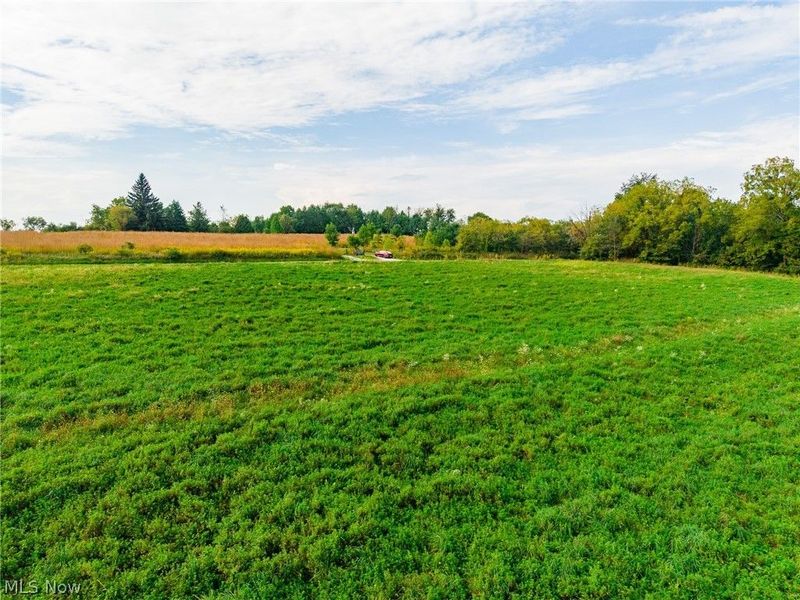 Foxfield Street SW, Navarre, OH 44662 Photo 16