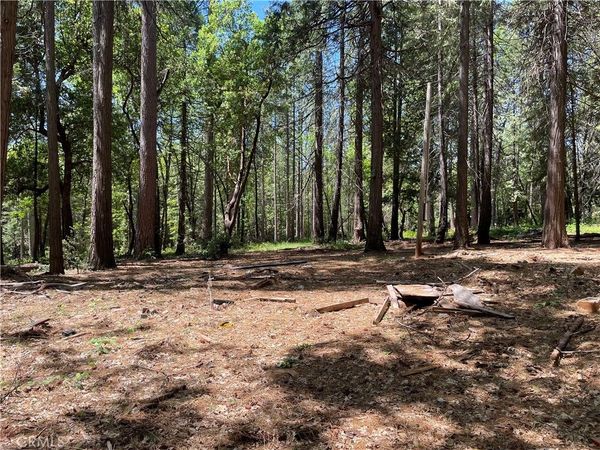55 Buckeye, Forbestown, CA 95941