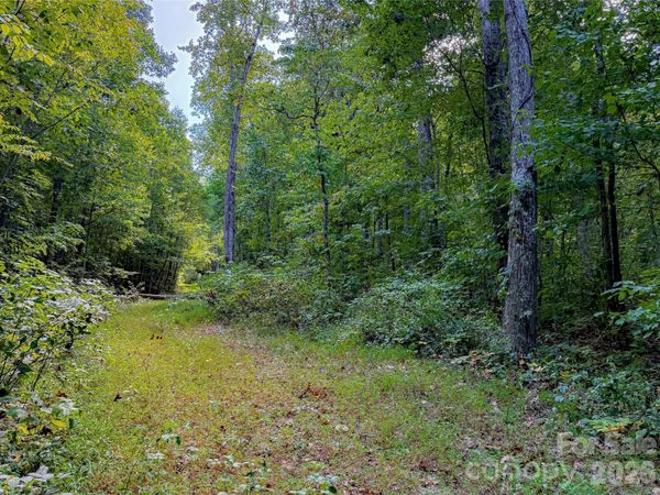 99999 High Top Mountain Road , Leicester, NC 28748