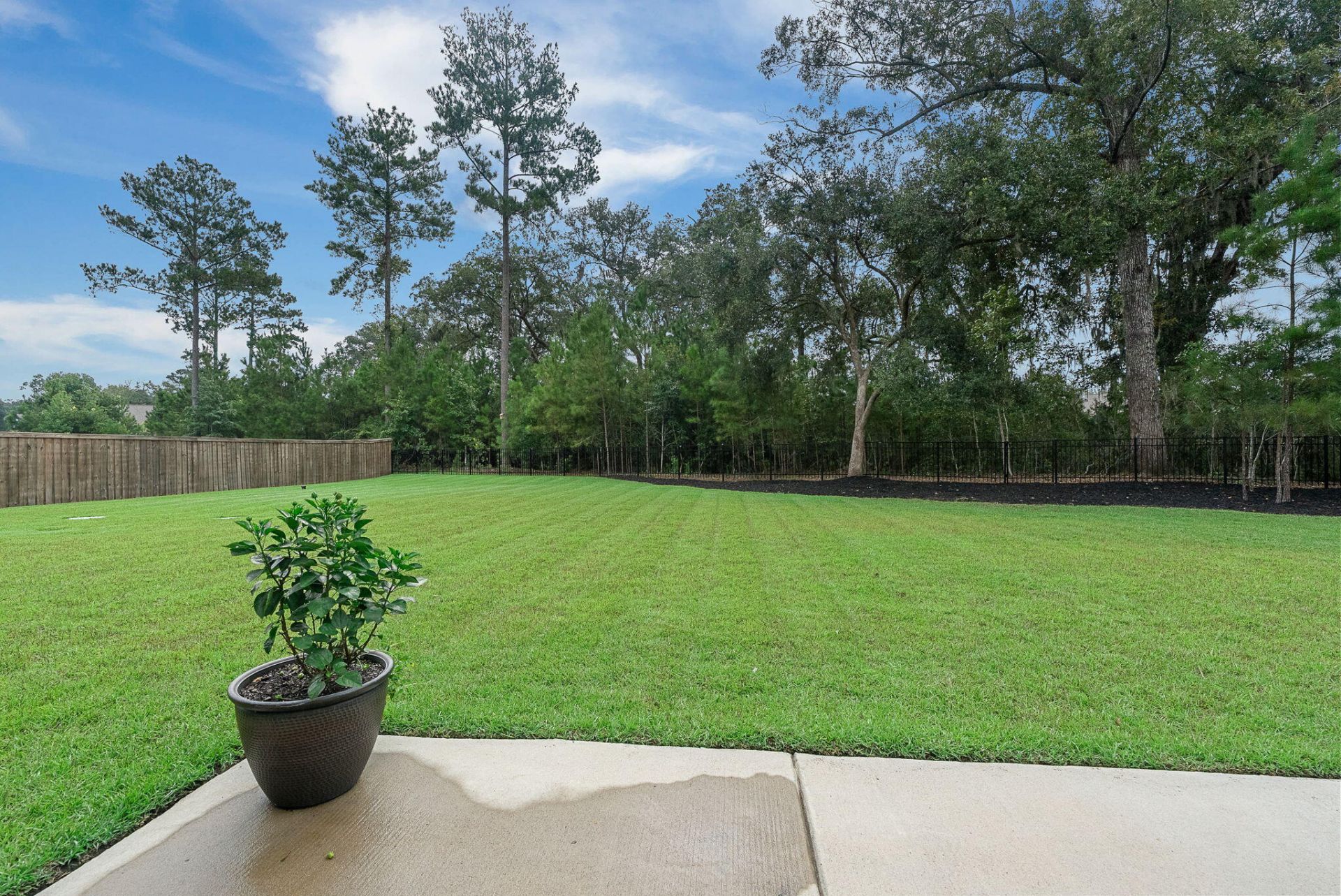 3202 Hugh Bennett Drive Photo 54