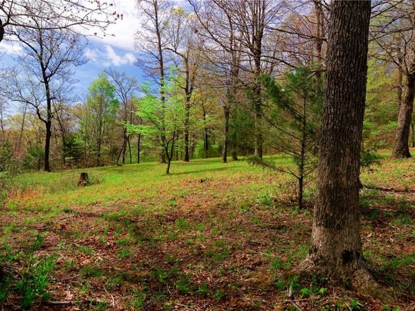 14240 Truelove Road , West Fork, AR 72774