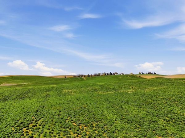 11879 E Elder Rd, Valleyford, WA 99036