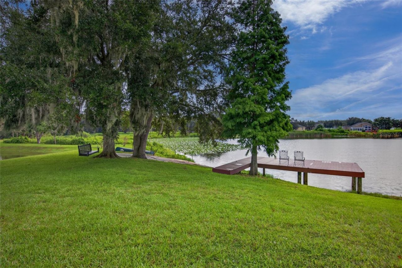 906 Retriever Avenue, Seffner, FL 33584 Photo