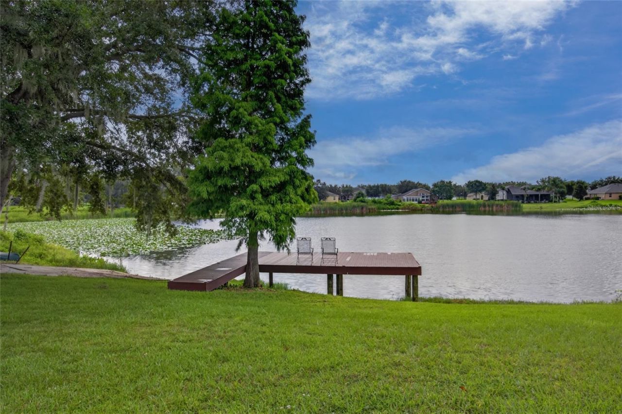 906 Retriever Avenue, Seffner, FL 33584 Photo