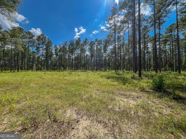 0 Mark Wood Rd. Lot 7, Dexter, GA 31019