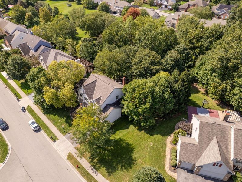 403 Ashmoore Circle E, Powell, OH 43065 Photo 62