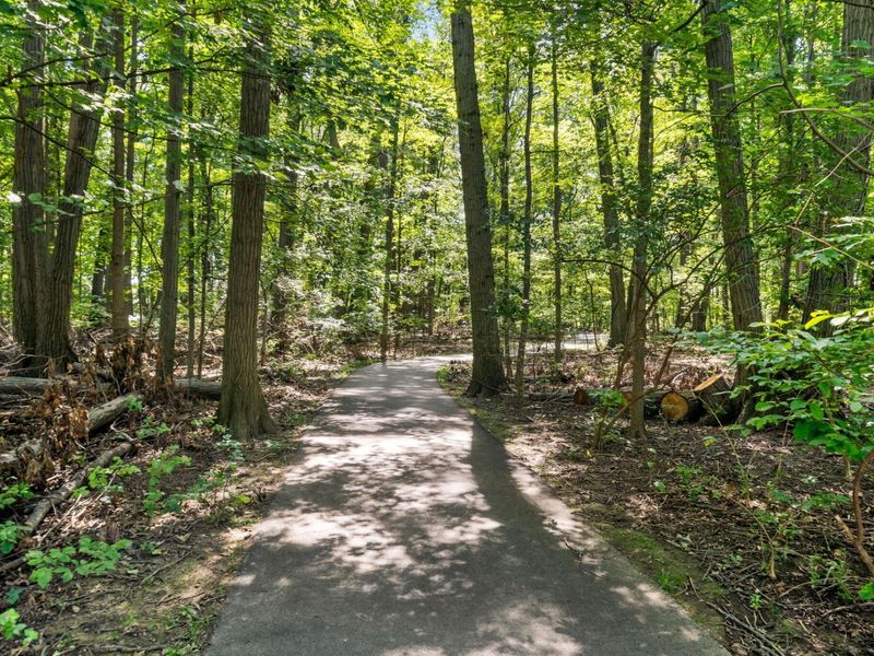 403 Ashmoore Circle E, Powell, OH 43065 Photo 68