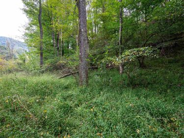 Lot 1 Saltlick Road, Rowlesburg, WV 26425