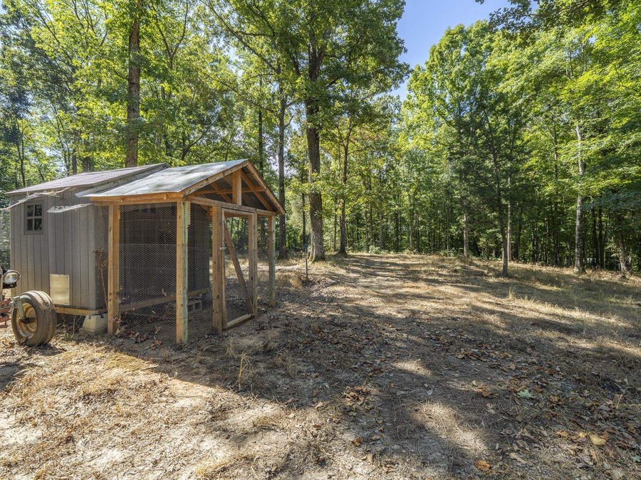 Property Image 37