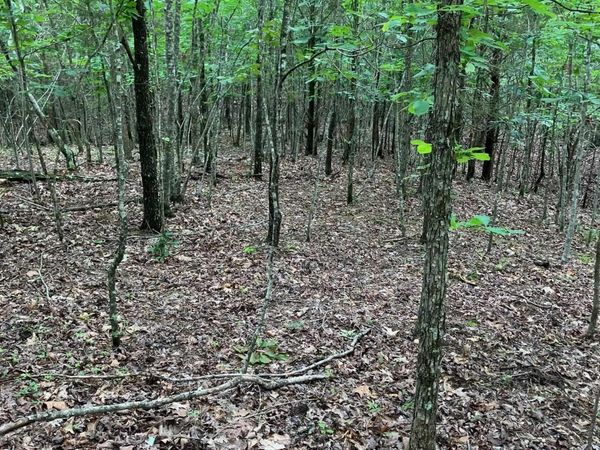 TBD 2 AC Thompson Creek Lane Lane , Mena, AR 71953