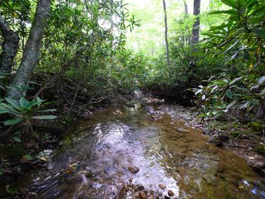 Lot 1 Deep Hollow Drive, Kingwood, WV 26537
