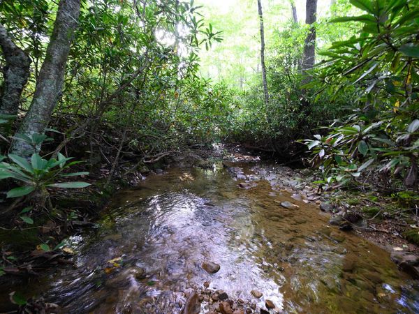 Lot 1 Deep Hollow Drive, Kingwood, WV 26537