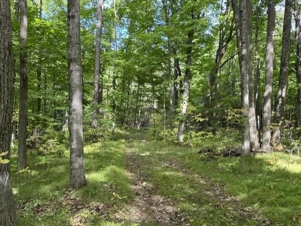00 COUNTY ROAD K, Irma, WI 54442