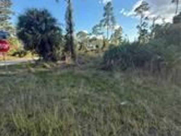 1090 Ainsworth ST E, LEHIGH ACRES, FL 33974