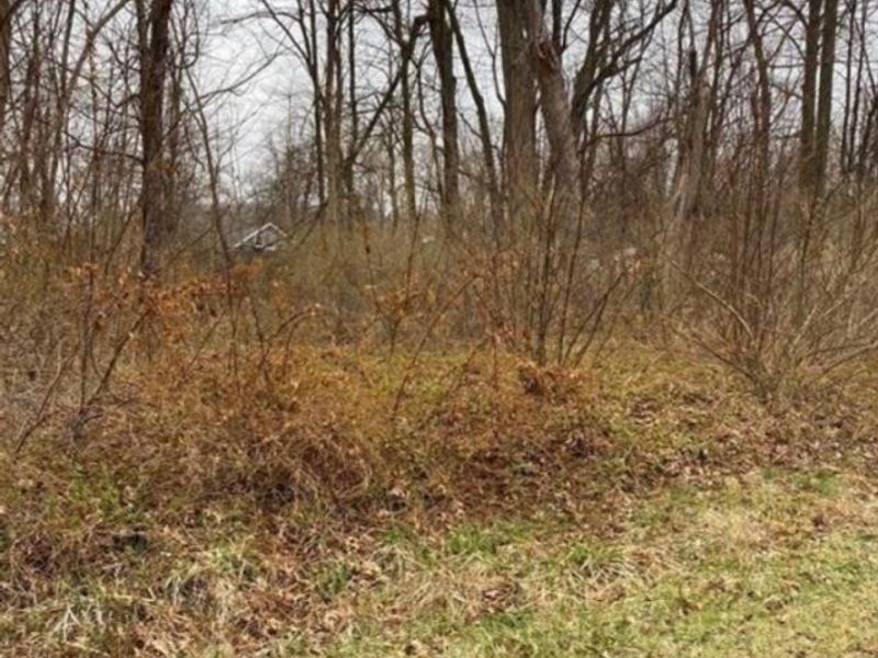 overlook Way, Lake Milton, OH 44429 Photo 2