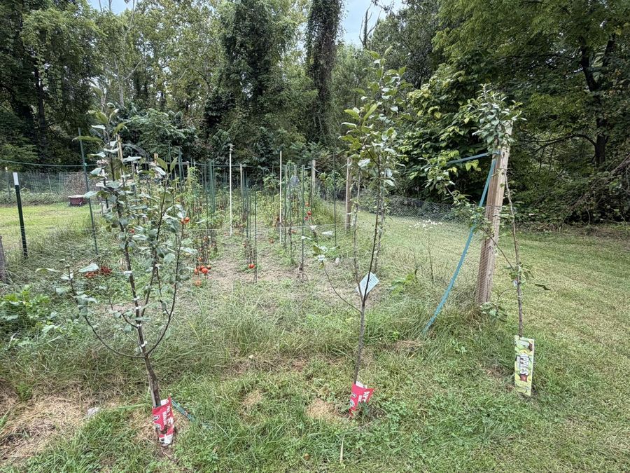Property Image 22